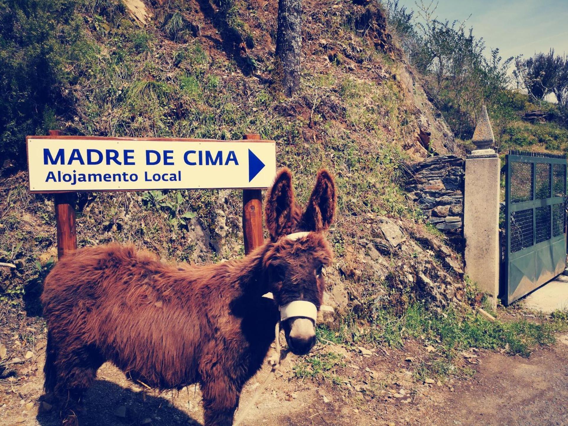 Alojamento Local Madre De Cima Vinhais Esterno foto